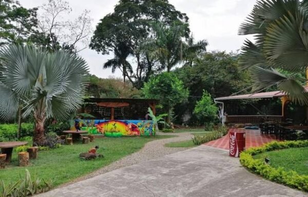 Categoría Galería clasificados anuncios