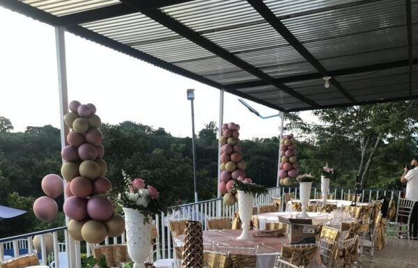 Categoría Galería clasificados anuncios