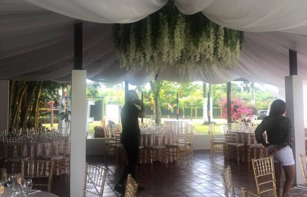 Categoría Galería clasificados anuncios