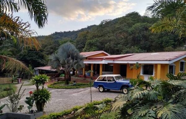 Categoría Galería clasificados anuncios