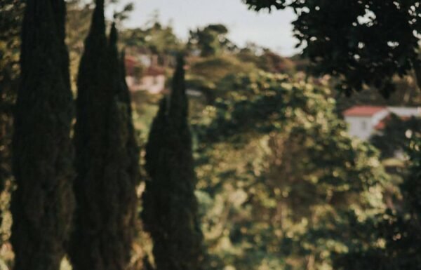 Adri Jeff Photography
