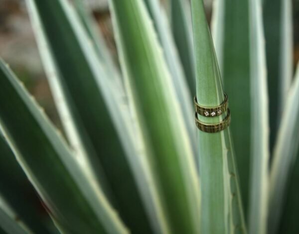 Fotografía | Video para eventos Categoria anuncio Efren Plata Fotografía