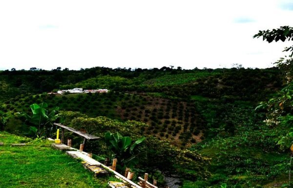 Categoría Galería clasificados anuncios