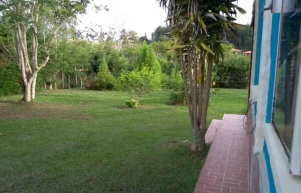 Cabaña Villa Amalia