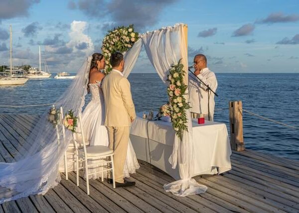 Aquamare by Avianet Soluciones