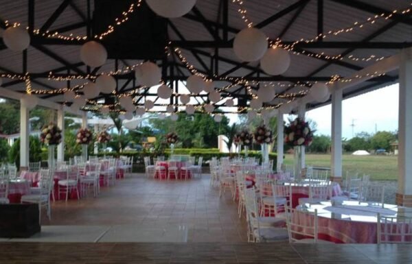 Category Vendor Gallery anuncios