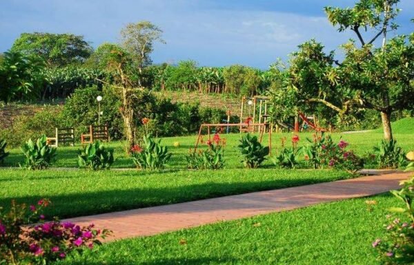 Categoría Galería clasificados anuncios