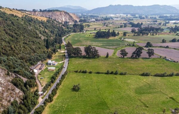 Categoría Galería clasificados Eventoco