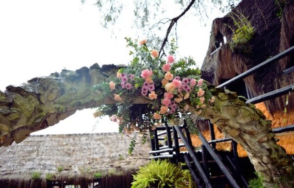 Categoría Galería clasificados Eventoco