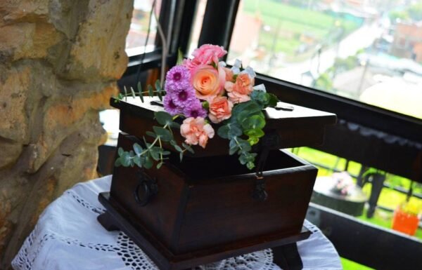 Categoría Galería clasificados Eventoco