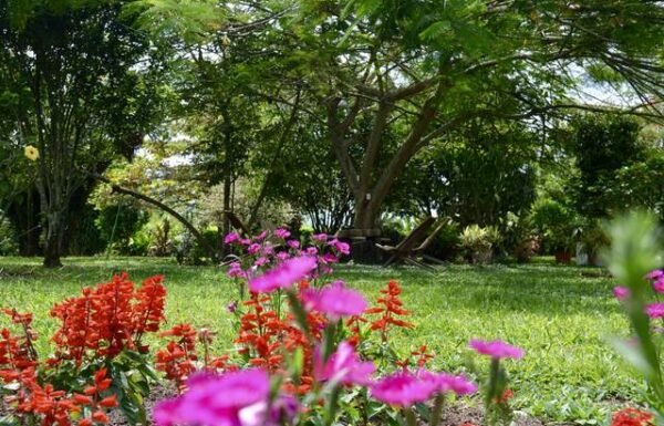 Club Campestre Armenia