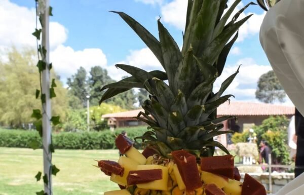 Categoría Galería clasificados Eventoco