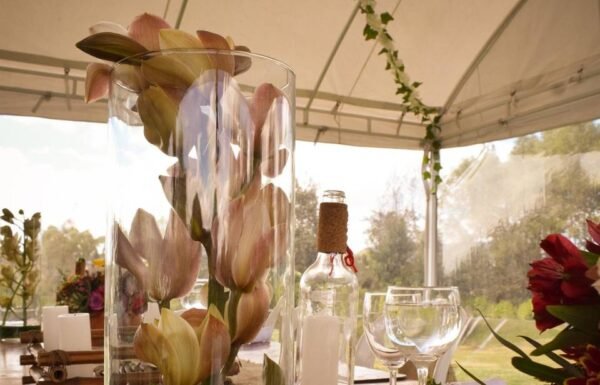 Categoría Galería clasificados Eventoco