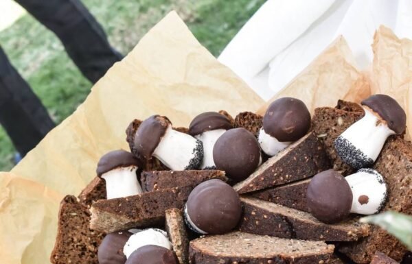 Categoría Galería clasificados Eventoco