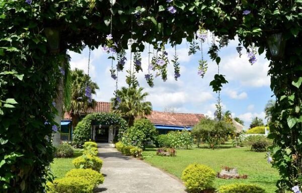 Categoría Galería clasificados anuncios