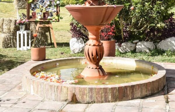 Categoría Galería clasificados Eventoco