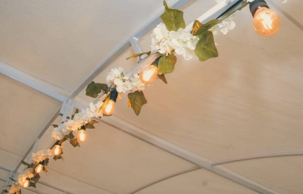 Categoría Galería clasificados Eventoco