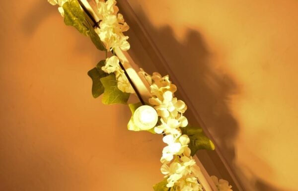 Categoría Galería clasificados Eventoco