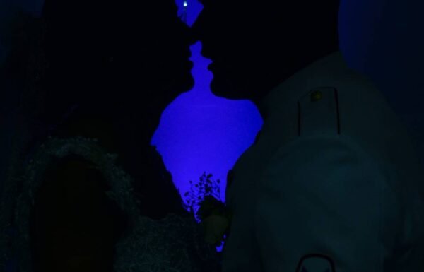 Category Vendor Gallery anuncios3