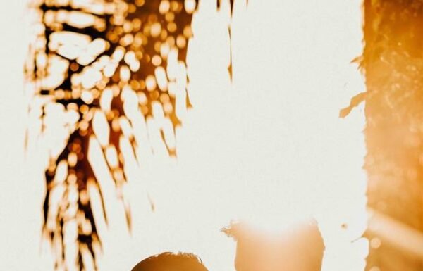 Category Vendor Gallery anuncios3