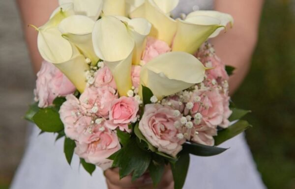 Hacienda El Trebolito