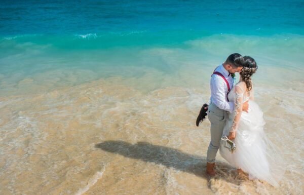 Category Vendor Gallery anuncios3