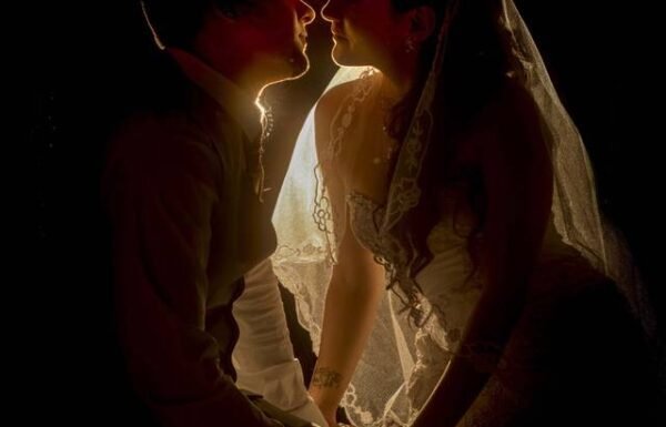 Category Vendor Gallery anuncios3