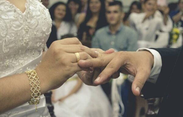 Category Vendor Gallery anuncios3