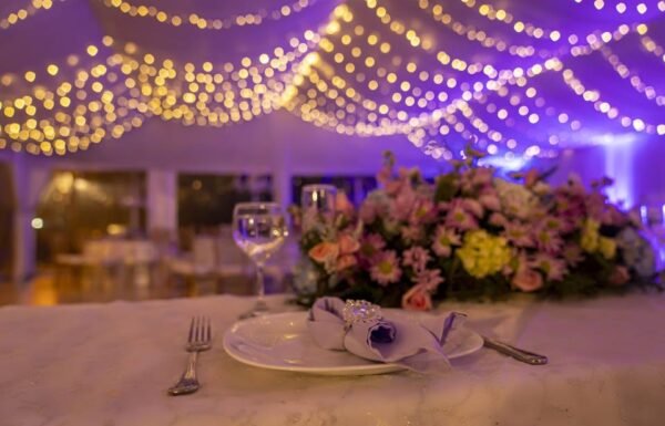 Categoría Galería clasificados Eventoco