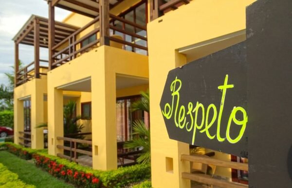 Category Vendor Gallery anuncios