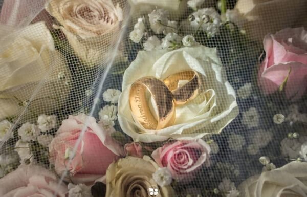 Category Vendor Gallery anuncios3