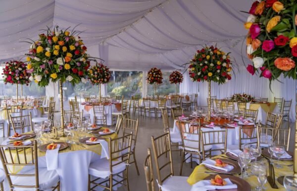 Categoría Galería clasificados Eventoco