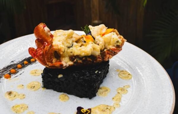 Banquetes Capilla Real