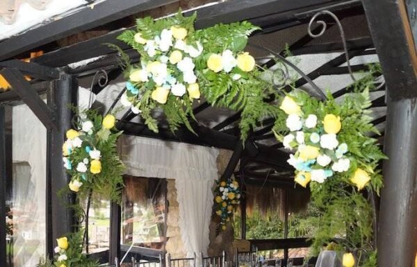 Categoría Galería clasificados Eventoco