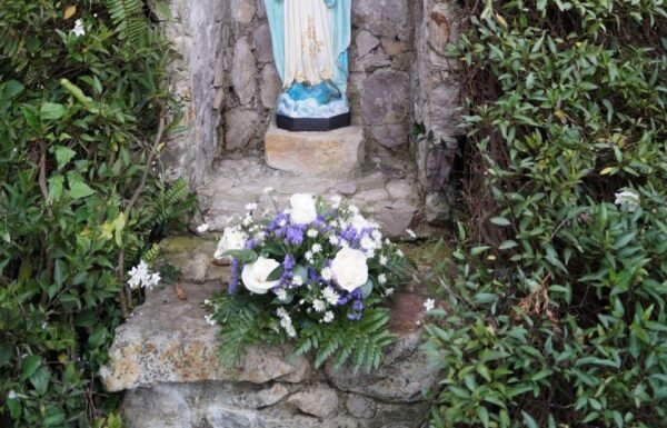 Categoría Galería clasificados Eventoco