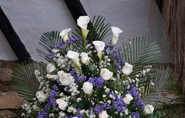 Categoría Galería clasificados Eventoco