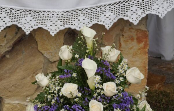 Categoría Galería clasificados Eventoco