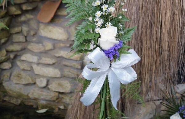 Categoría Galería clasificados Eventoco