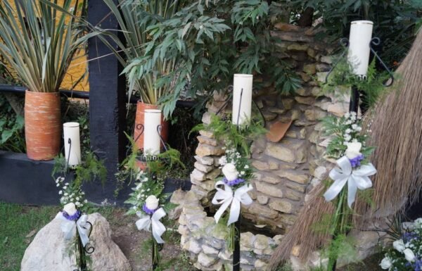 Categoría Galería clasificados Eventoco