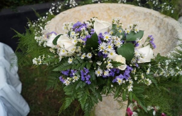 Categoría Galería clasificados Eventoco