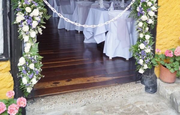 Categoría Galería clasificados Eventoco