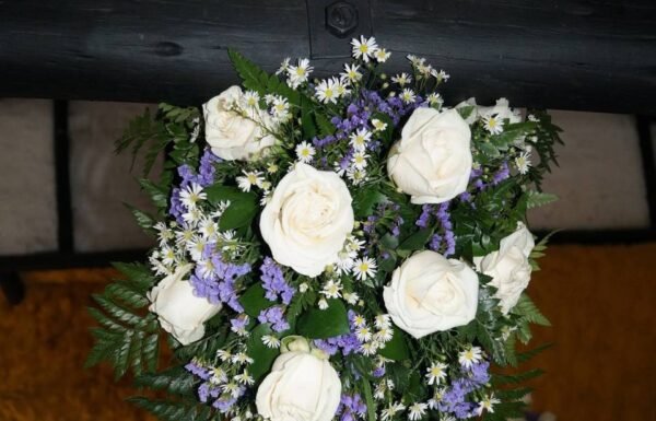 Categoría Galería clasificados Eventoco