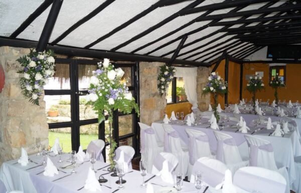 Categoría Galería clasificados Eventoco