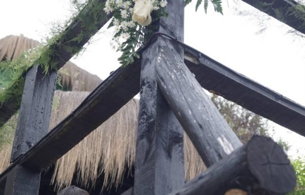 Categoría Galería clasificados Eventoco