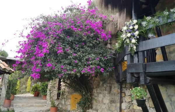 Categoría Galería clasificados Eventoco