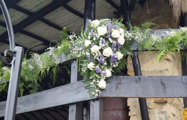 Categoría Galería clasificados Eventoco