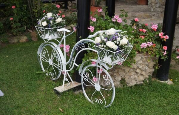 Categoría Galería clasificados Eventoco