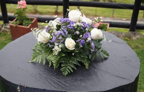 Categoría Galería clasificados Eventoco