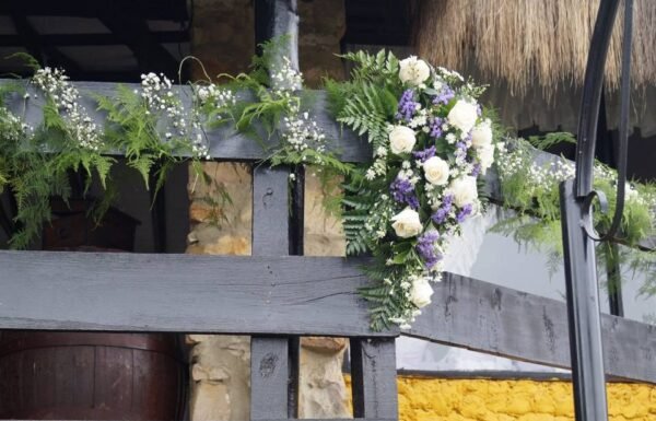 Categoría Galería clasificados Eventoco