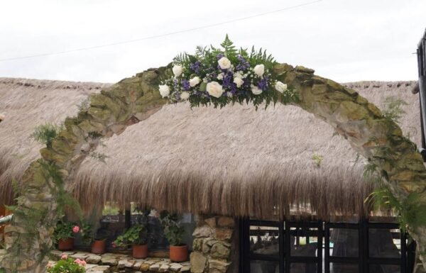 Categoría Galería clasificados Eventoco